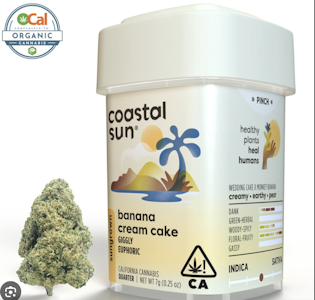 COASTAL SUN - Coastal Sun Flower 7g - Banana Cream Cake 32%
