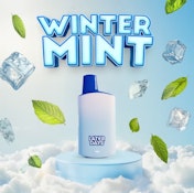 Winter Mint Disposable - 2g - SIN
