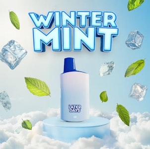 Later Days - Winter Mint Disposable - 2g - SIN