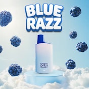 Blue Raspberry Disposable - 2g - SIN