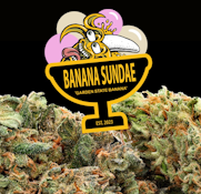 [REC] Garden State Banana | Banana Sundae | 3.5g Big Buds