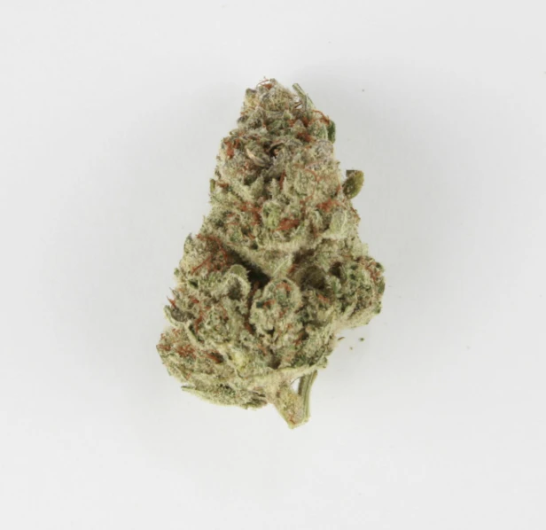 AIRPLANE MODE - Riverbank Grape | 3.5g Small Buds | TAX INCLD Main Image