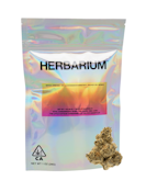 Herbarium | Gelatti | 28G