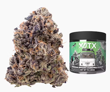 Clone Goddess, Inc. - Clone Goddess - Flower - Electric Lemonade - 3.5G