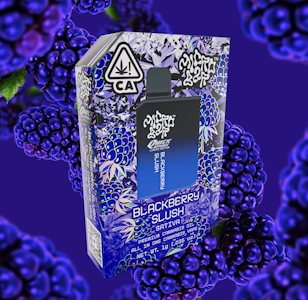 Micro Bar - Micro Bar 1G AIO Blackberry Slush Disposable