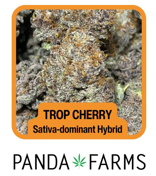 [REC] Panda Farms | Trop Cherry | 3.5g Flower