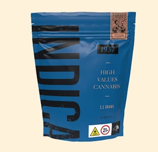 1937 Cannabis - 1937 | Mango Sherbert | 3.5G Flower