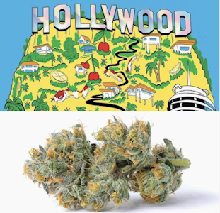 COOKIES - Cookies | Hollywood | 3.5g
