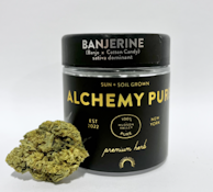 Alchemy Pure- Banjerine- 3.5g flower