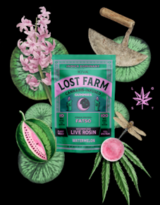 Lost Farm | Edible | Live Rosin Gummies - Watermelon x Fatso | 100mg,10