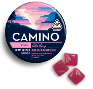 Camino | Edible | Gummies - Wild Berry | 100mg