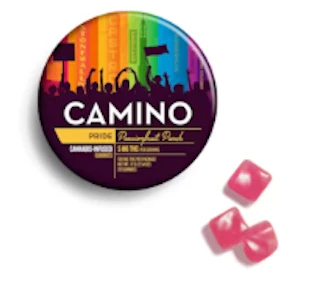 CAMINO - Camino | Edible | Gummies - Passionfruit Punch | 100mg