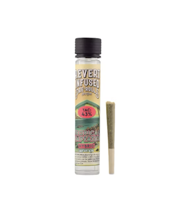 Revert - Tropical Temptation - 0.7g Infused Pre-Roll