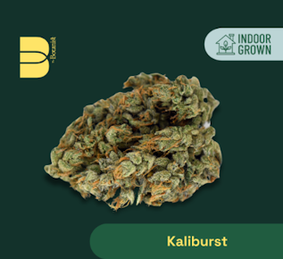 The Bontanist | Flower - Kaliburst | 14g