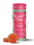 Balanced | Guava | Single-Strain Rosin | Gummies | 10pk/100mg (Good Tide)