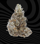 Blue Zashimi - 3.5g (IH) - Sense