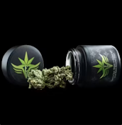 [REC] Seed To Soul (EV) | Blue Zushi | 3.5g Flower