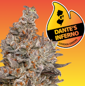 [REC] Garden Greens | Dante's Inferno | 3.5g Flower