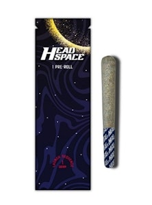 HEAD SPACE (NY) - HEADSPACE | Kiwi x Lemon Cherry | 1G Preroll