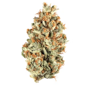 WCT | Spraytan | 3.5g