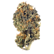 Headband Cookies | 3.5g Flower | TAX INCLD