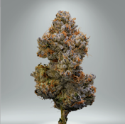 Niche | Lemon Cherry Gelato | 3.5g