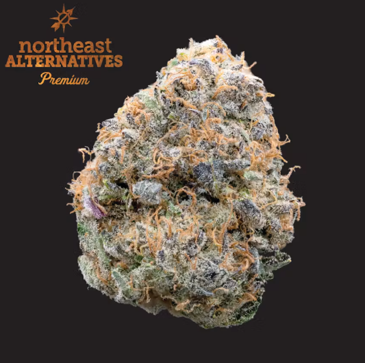 Sherbert Honey Flower - 3.5g - NEA - Suncrafted Cannabis