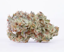 Pure Beauty - Mango Mintality (S) - Indoor - 3.5g