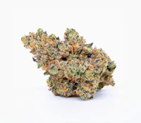 Pure Beauty - Spritzer (H) - Indoor - 3.5g