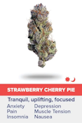[REC] Breakwater | Strawberry Cherry Pie | 3.5g Flower