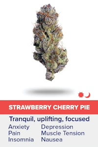 Breakwater - [REC] Breakwater | Strawberry Cherry Pie | 7g Flower