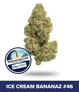 Breakwater - [REC] Breakwater | Ice Cream Bananaz #46 | 7g Flower