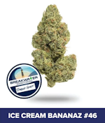 [REC] Breakwater | Ice Cream Bananaz #46 | 3.5g Flower
