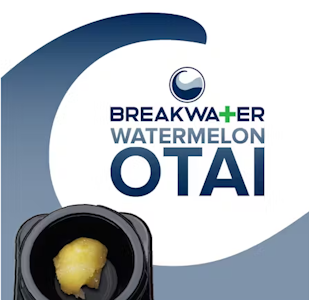 Breakwater - [MED] Breakwater | Watermelon Otai | 1g Concentrate | Live Hash Rosin