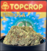 Top Crop - Mimosa - 28g