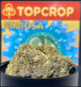 TOP CROP - Top Crop - Mimosa - 28g