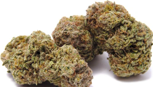 Real Life Botanicals - Real Life Botanicals - Sensi Star - 3.5g