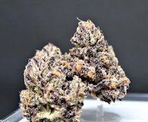 Billy | Buds | 3.5g