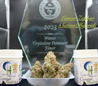 Lemon Zephyr | Pre-roll | 1g