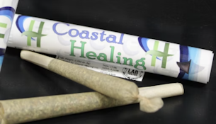Atteberries | Pre-roll | 1g