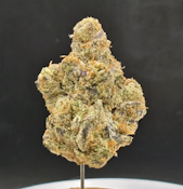 Dosido | Buds | 3.5g
