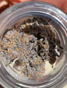 Clarkies - 3.5g Indoor Flower - Perm