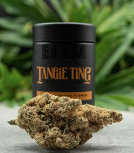 BLEM - BLEM 3.5G Tangie Ting Indoor Flower