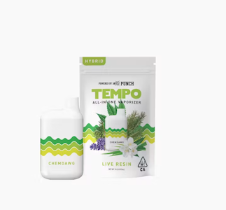TEMPO - TEMPO 1G Chemdawg Live Resin Disposable