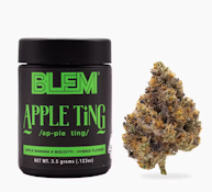 BLEM 3.5G Apple Ting Indoor Flower