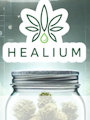 Healium - Shocktartz - 1.3g Preroll