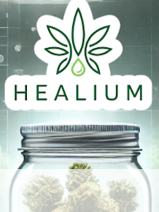Healium - Healium - Shocktartz - 1.3g Preroll
