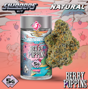Sluggers 5g Berry Poppins