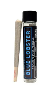 ADK Hemp Co - ADK Hemp Co | Preroll | Blue Lobster | 1g