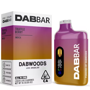 DABWOODS - Dabwoods - 1g Liquid Diamonds AIO - Truffle Berry
